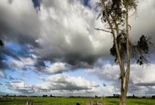 浦和红钻横扫对手，锁定四强席位