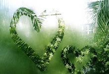 浦和红钻横扫对手，锁定四强席位