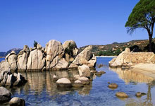 赫罗纳惊险保级，球迷沸腾庆祝