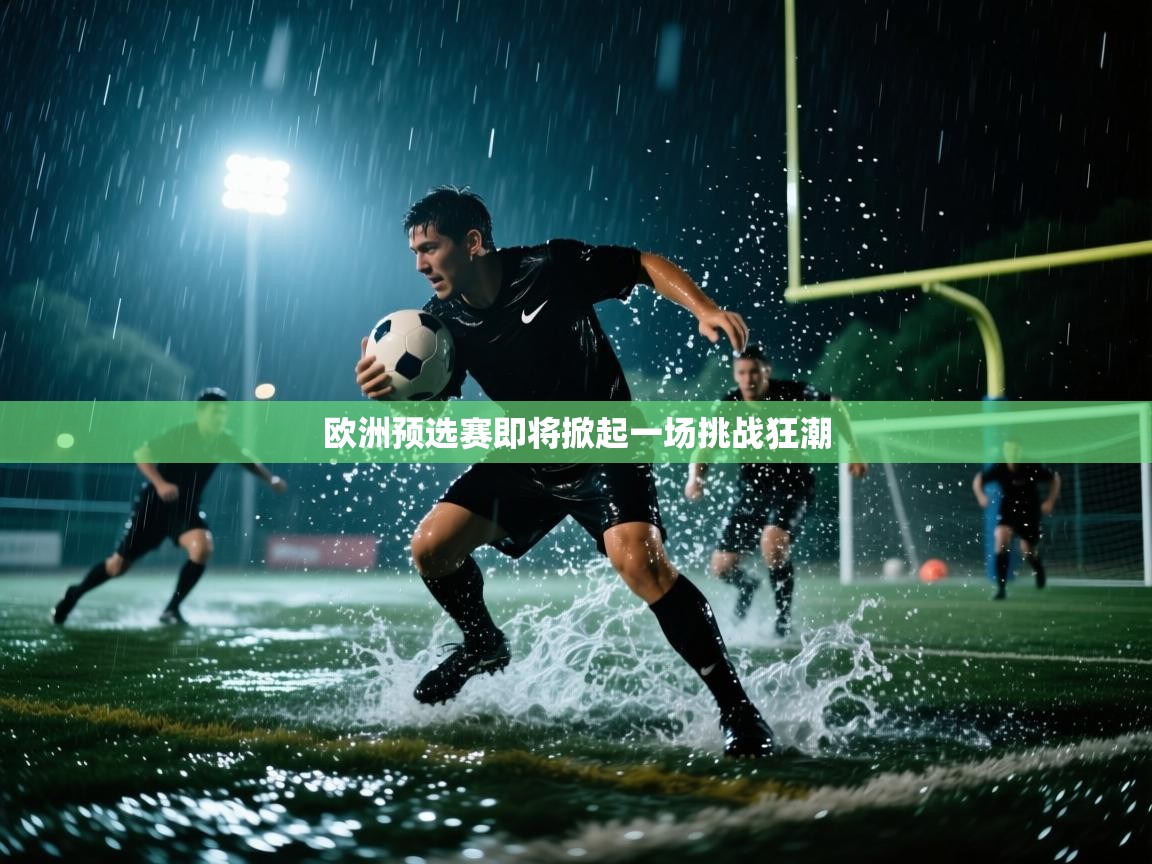 欧洲预选赛即将掀起一场挑战狂潮 第2张
